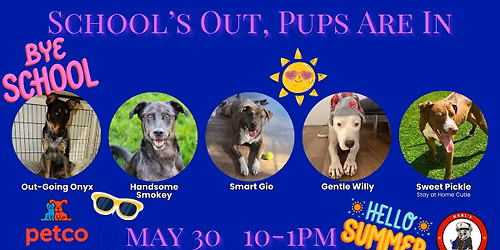 School\u2019s Out, Pups Are In Adoption Event