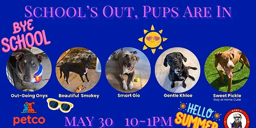 School\u2019s Out, Pups Are In Adoption Event