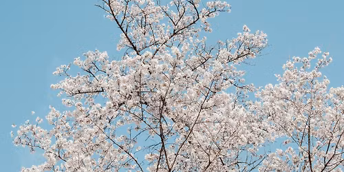 Strong Towns South Milwaukee Monthly Meeting | March