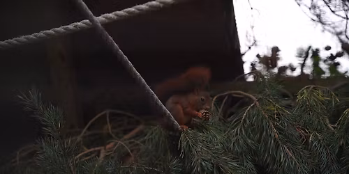 Nuts About Nature