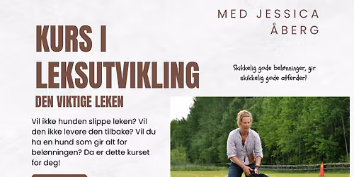 Workshop - den viktige leken. Jessica \u00c5berg SWDI