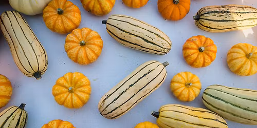 Tosa Farmers Market Pre-Thanksgiving Market