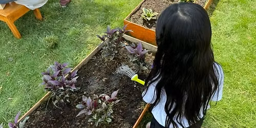 Plant Needs: Wonderful Water \u00b7 July Seeds to Sprouts