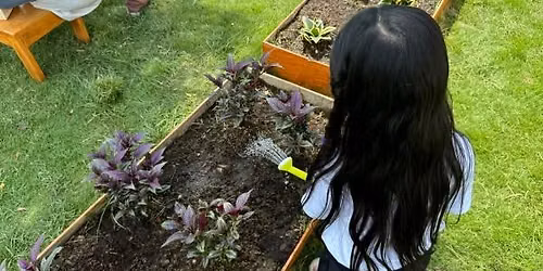Plant Needs: Wonderful Water \u00b7 July Seeds to Sprouts