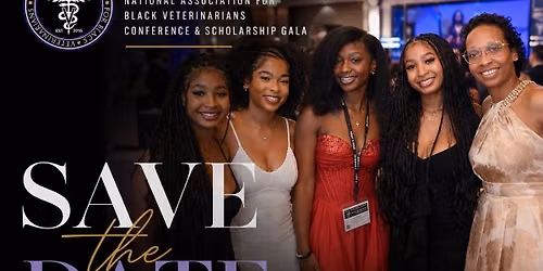 6th Annual NABV Conference & Scholarship Gala