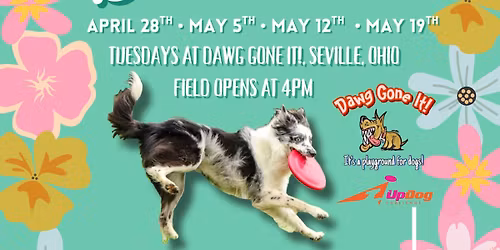 DGI\u2019s Spring UpDog Bite Club