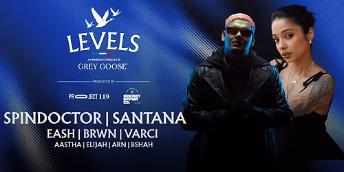 A Grey Goose Experience