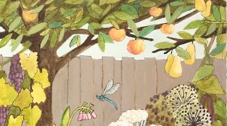 Plan Your Forager's Garden