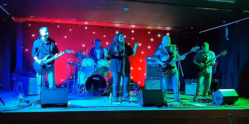 Mill View Social Club - Live Gig