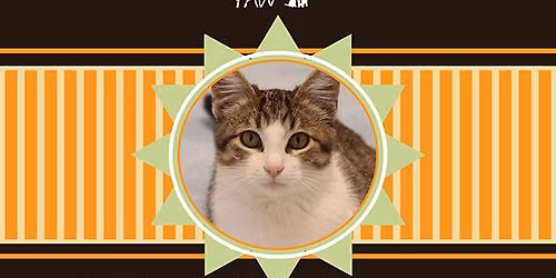 PAW Society's Fall Bake Sale 