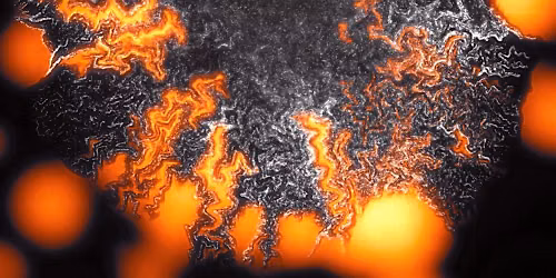 Scottish Microscopy Society Symposium 2026 - Edinburgh