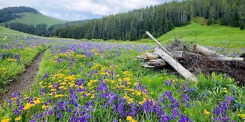 Thursday Pineridge Social (recurring)