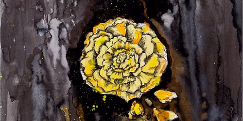 Never Say Die Anthology Launch