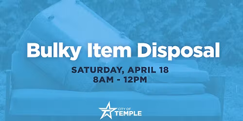 Bulky Item Disposal Day