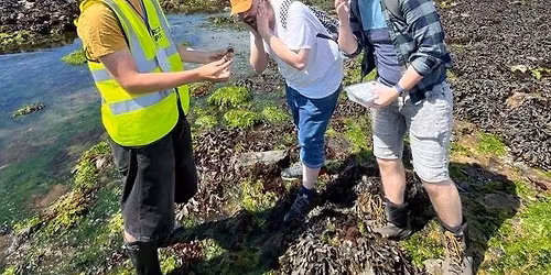 Big Rock Pool Challenge BioBlitz Battle: Mount Batten, Plymouth