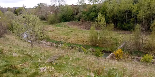 December Wildlife and Monitoring Walk at Whitfield Valley Nature Reserve