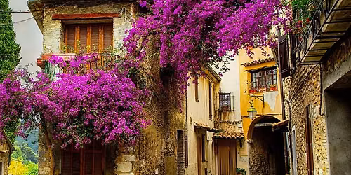Colors of Provence 2026: A Hosted AmaWaterways River Cruise