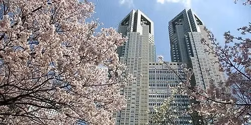 \u6625\u3067\u3059\u3088!\u82b1\u898b\u3067\u3059\u3088!2026