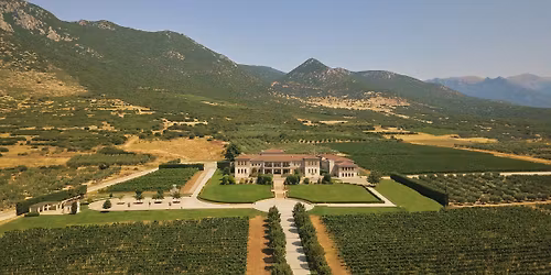 Helt Gresk - Et dypdykk i Hellas VinVerden!