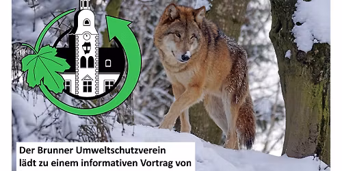 WOLF & CO - Gro\u00dfraubtiere in \u00d6sterreich