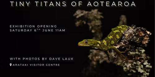Tiny Titans of Aotearoa - Exhibition Opening - Photography by Dave Laux