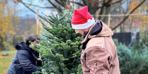 Weihnachtsbaumverkauf in adventlicher Atmosph\u00e4re am Gemeindesaal