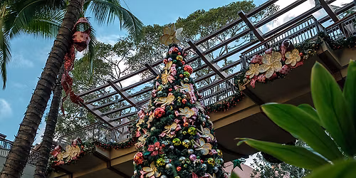 Parking A Charlie Brown Christmas - Honolulu