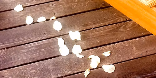 SoulMotion Dance of Discovery | letting the other shoe drop