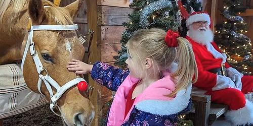 Sassy Stables Christmas Barn Party