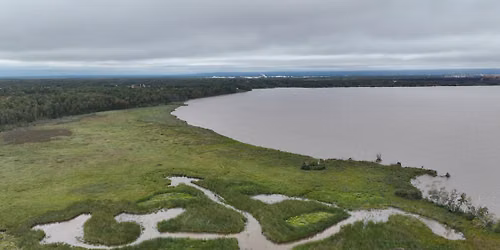 Restoring Wetlands in Allouez Bay: Cattail Talk & Weaving (River Revival Event)