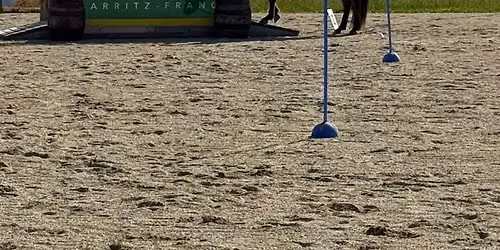 1. Working Equitation & Gaited Cup