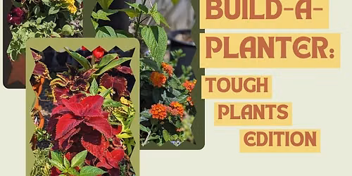 Adults' Workshop - Build-A-Planter: Tough Plants Edition