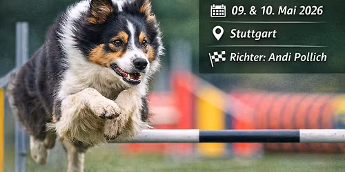 Maulwurfsh\u00fcgelcup 2026 beim VfSuW Stuttgart