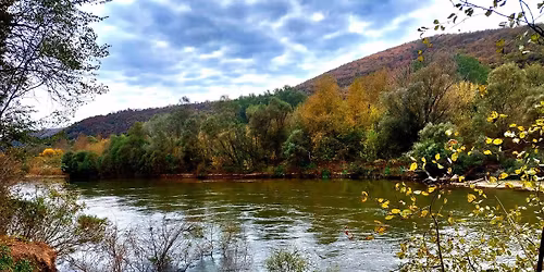 06\/12\/2025 "\u03a3\u03a4\u0395\u039d\u0391 \u03a4\u03a3\u0399\u0393\u0393\u0391\u039d\u0391\u03a3"- \u0397\u03a0\u0399\u0391 \u039f\u03a1\u0395\u0399\u0392\u0391\u03a4\u0399\u039a\u0397 \u0395\u039e\u039f\u03a1\u039c\u0397\u03a3\u0397