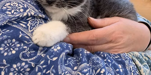 Adoption Event