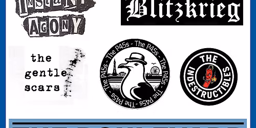 Punk Matinee  - Instant Agony.