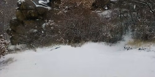 Bejgli\u00e9get\u0151 nyolcast\u00fara