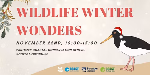 Wildlife Winter Wonders 