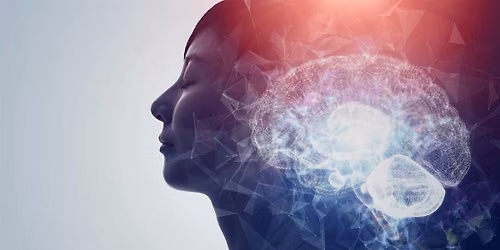 Mind Over Matter: University Neuro-Psych Lecture