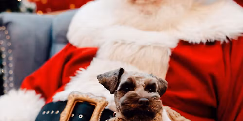 Santa Paws - Pet Photos with Santa