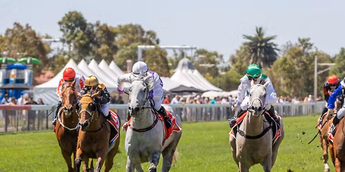 IronGate's Gateway to Christmas Races