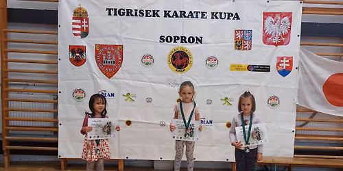 X. Tigrisek Karate Kupa
