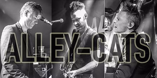 Alley-Cats i festugen (GRATIS KONCERT)