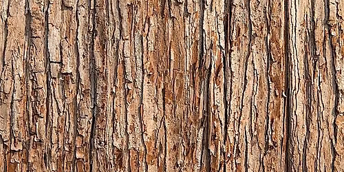 Wellbeing Wednesday, Can\u2019t See The Wood For The Trees!