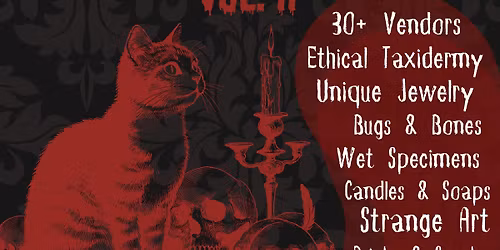 A Curiosities Expo Vol. II - Oddities, Art & Kitties