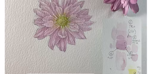 Foundations of Botanical Drawing & Painting