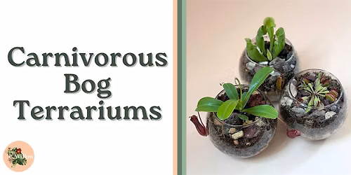 Carnivorous Bog Terrarium Workshop