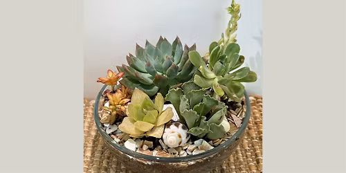 Coastal Succulent Creation Workshop 21+