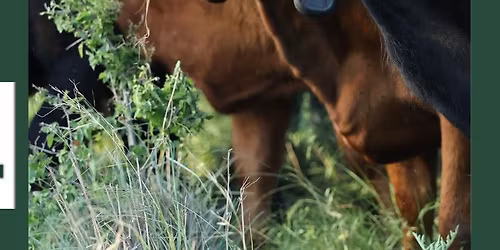 ANNUAL MEETING (**Mouth-watering BBQ** & Virtual Fencing)