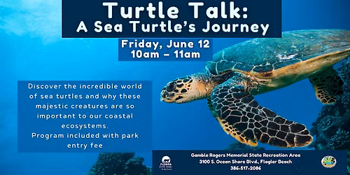 Turtle Talk: A Sea Turtle's Journey